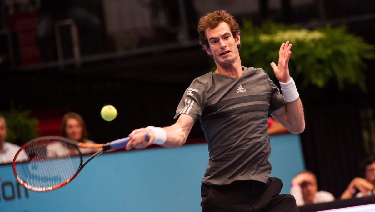 High Quality Image of Murray winning in Vienna in the run up to London's World Tour Finals